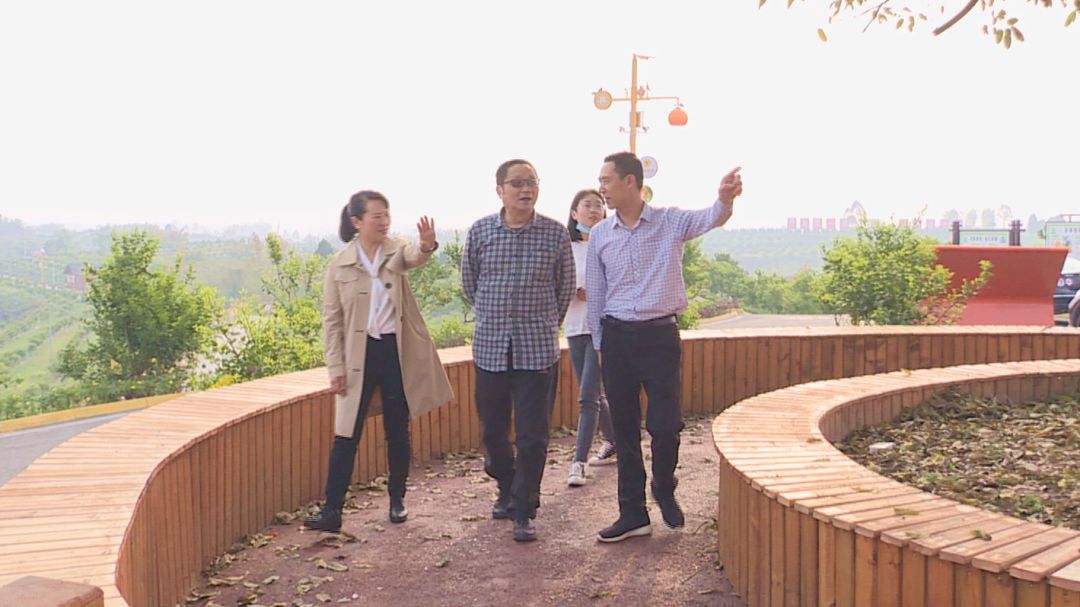 井研乡村振兴视频,井研县乡村振兴示范镇