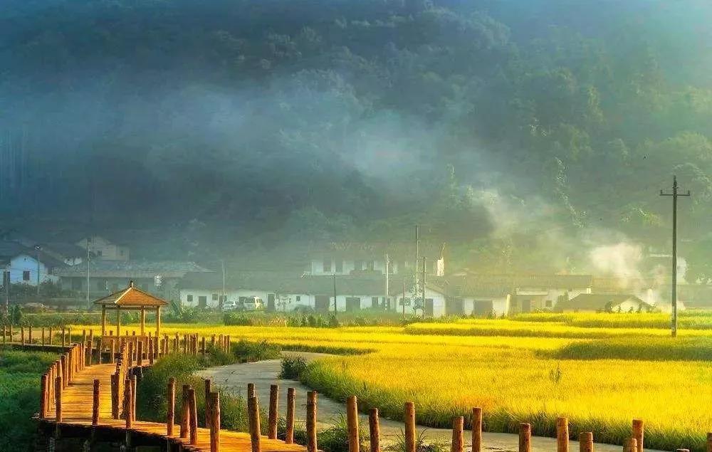 去南华寺体验什么,丹霞山南华寺云门山旅游攻略