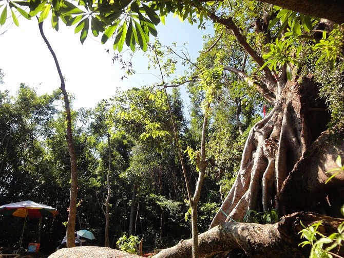 海滩怪石古渔村，名气不及三亚，但现在却越来越多东北人在此定居