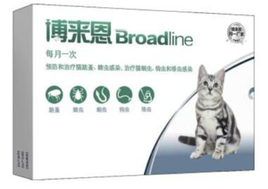 猫咪体外驱虫药用什么牌好,猫咪体外驱虫什么药比较好