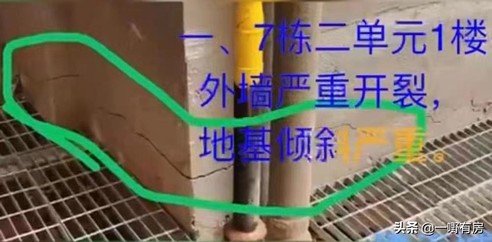 开发商打业主后续,开发商被业主打