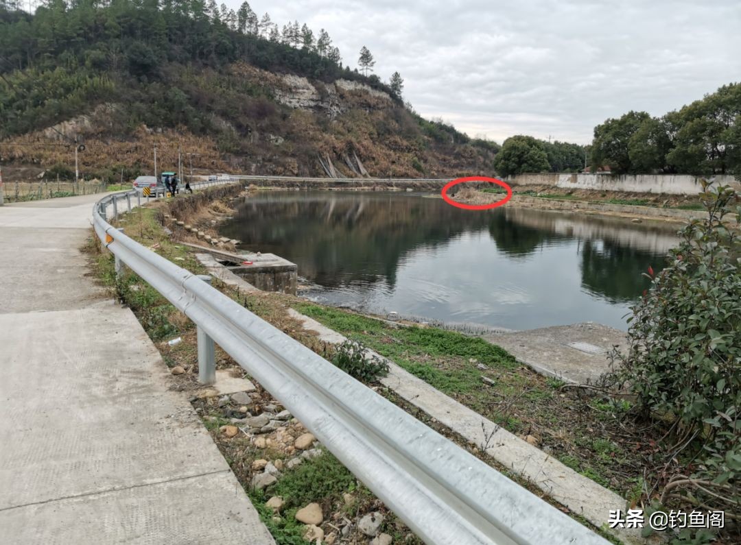 冬季钓鲫鱼是钓阴影好还是向阳好,冬季钓鱼钓顶风还是背风