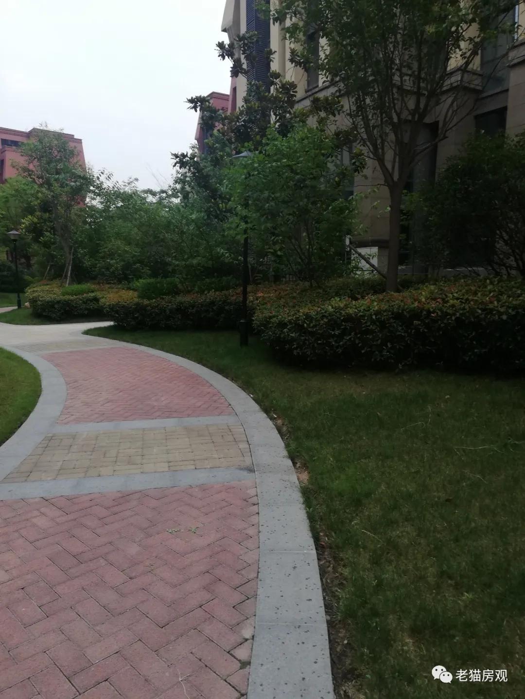 深度分析滨河国际新城,实地看盘系列