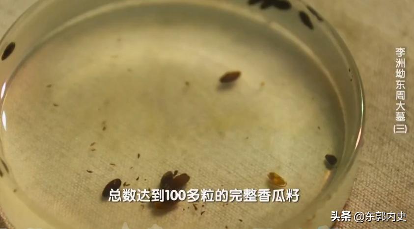 你吃西瓜吐籽吗什么梗,你吃西瓜时吐籽吗