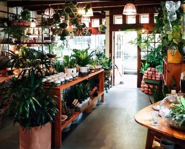 开一家植物美学小店,开一家属于自己的花店