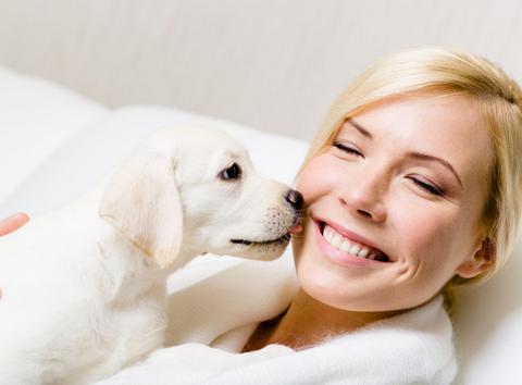 狗狗总是想舔人是什么意思,狗狗生理期肿大很厉害并且经常舔