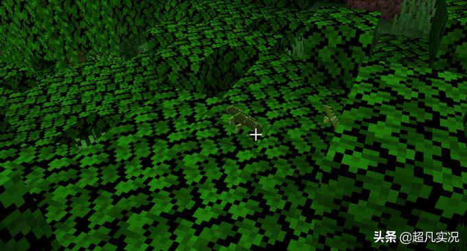 我的世界中为什么会出现废弃矿洞,我的世界定时掉落物品是什么地图