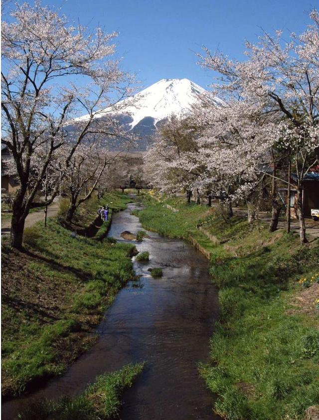 游玩东京2020奥运会,东京除了东京还有哪些玩的地方