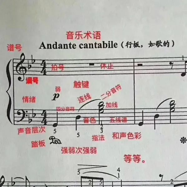 如何快速记音乐表情术语,音乐表情术语p是什么意思