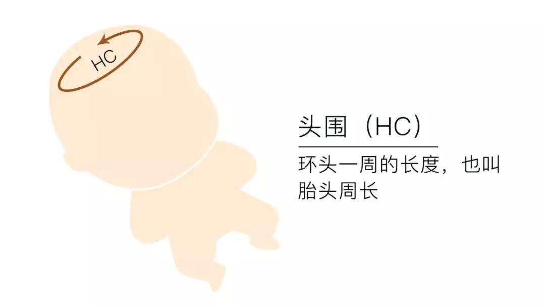 B超单的秘密，你看懂了？