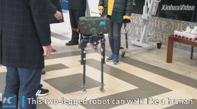 中国又一双足机器人亮相，用到被动行走与人工智能，学人一样走路