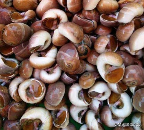 连云港地方特产有哪些,连云港地方特产市场