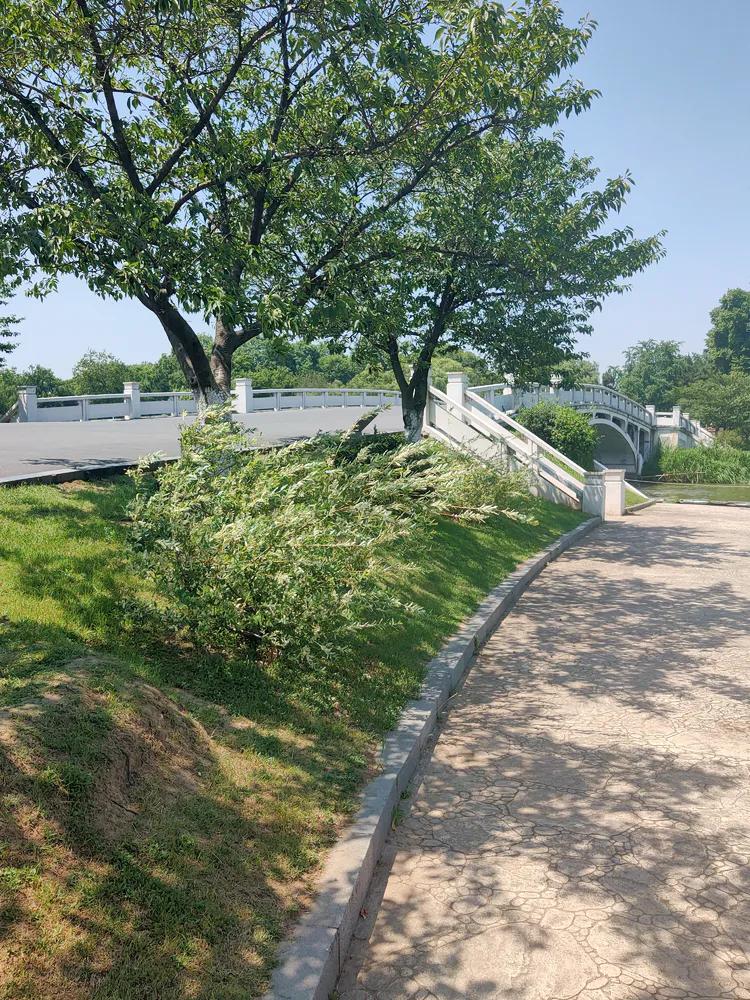 曾作为禁地，与外界隔绝二百六十多年的“玄武湖”，今日锣鼓喧天