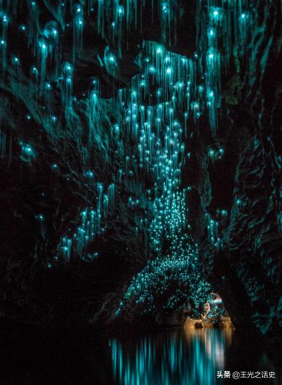 新西兰那么闲为什么是发达国家,新西兰这个国家靠什么发展的经济