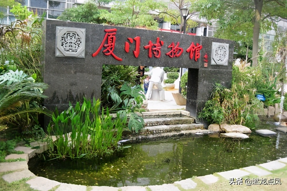 厦门大学经济学院寒假社会实践调研博物馆体验文旅产业