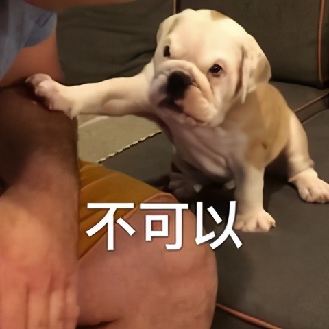 上班族午饭微波炉加热,微波炉解决一日三餐