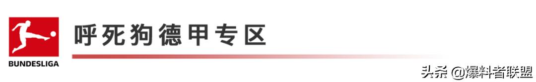 今日早场赛事情报,今日赛事解读