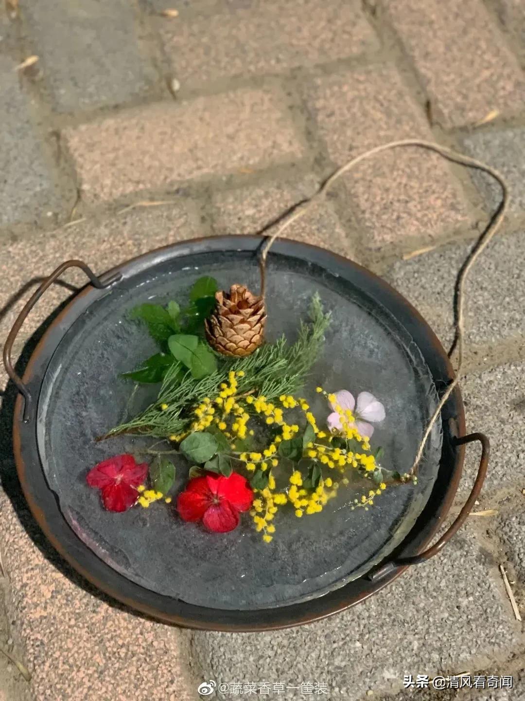 冻冰花美篇,冻冰花的美篇