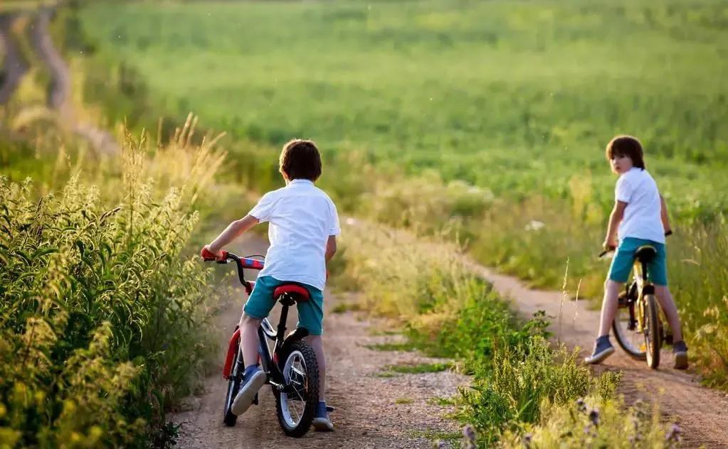 养了四年神兽，我买了这几辆车，很值