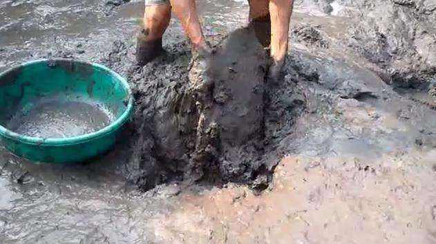 会埋在土里的鱼,会把自己藏到沙子里的鱼