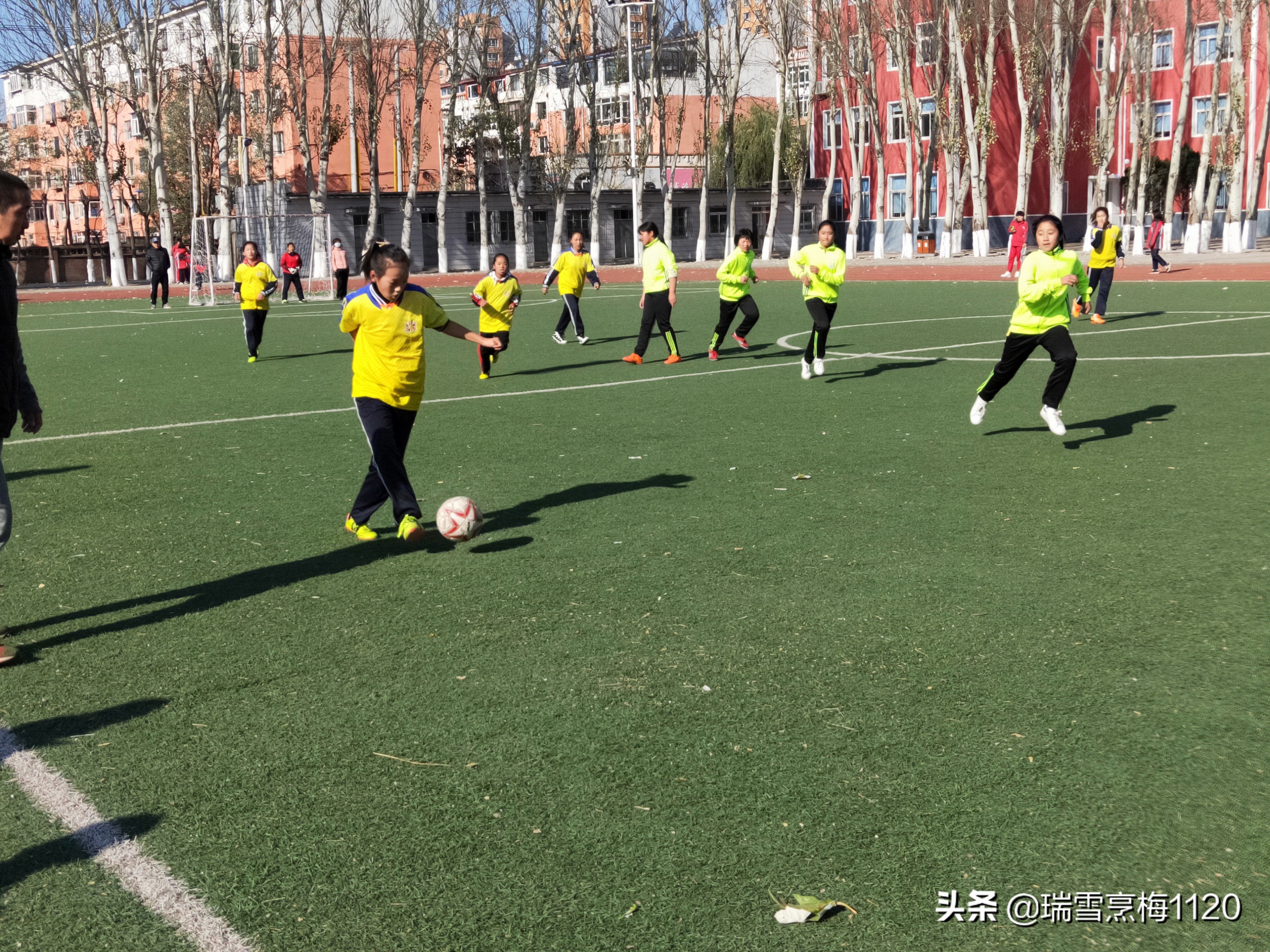 新城子街第一小学喜报,厉害杨浦足球小将斩获市运会冠军