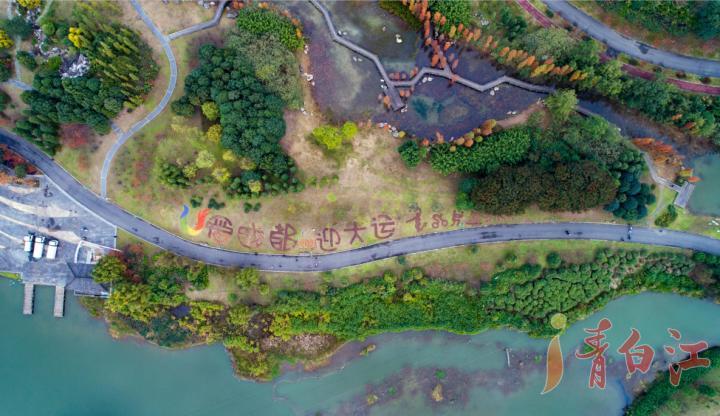 成都大运会会徽景观图片,2024成都大运会会徽太阳鸟图片