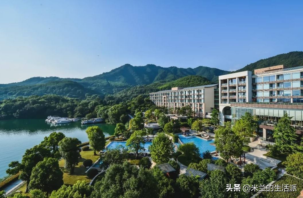 森林养生基地一览表,森林公园养生胜地