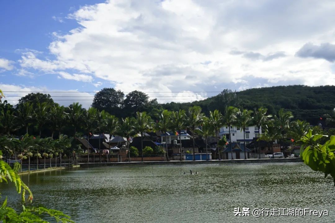 西双版纳傣族村寨赶集,西双版纳星期五赶集