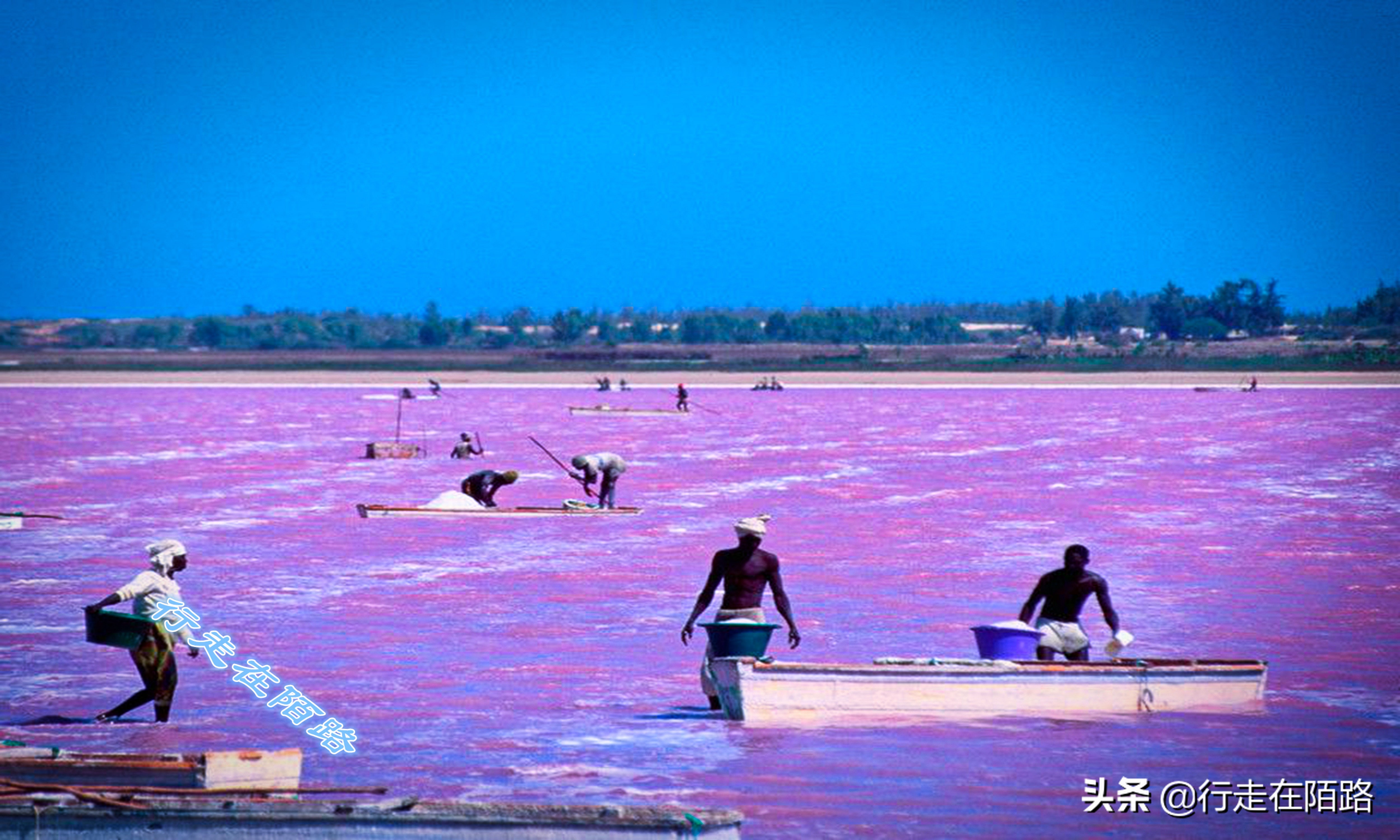 非洲死海：湖深一米采盐直接捞，每升湖水含盐380克