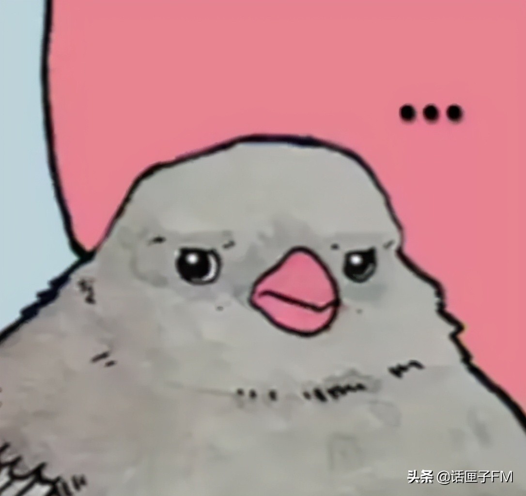 沉浸式鸽毛纷飞，360度鸽声缭绕！居民楼违建搭60平米鸽棚久久不拆，难道无解？