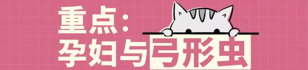 怀孕了能不能养宠物狗狗,怀孕为什么不能养狗狗