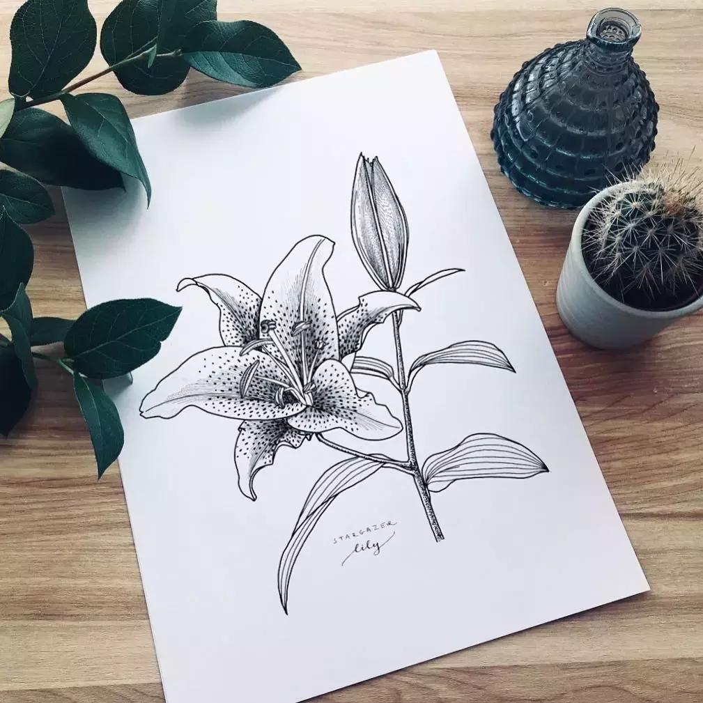 这一波手绘太给力了,绝对让你练完不厉害都难