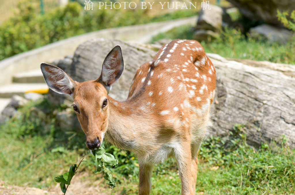 周末去哪儿玩重庆巴南,巴南周末户外带孩子去哪里玩