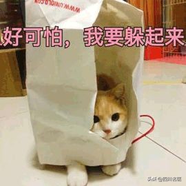 指甲上出现一条细线是怎么回事,女子指甲多出一条线为保命要截肢