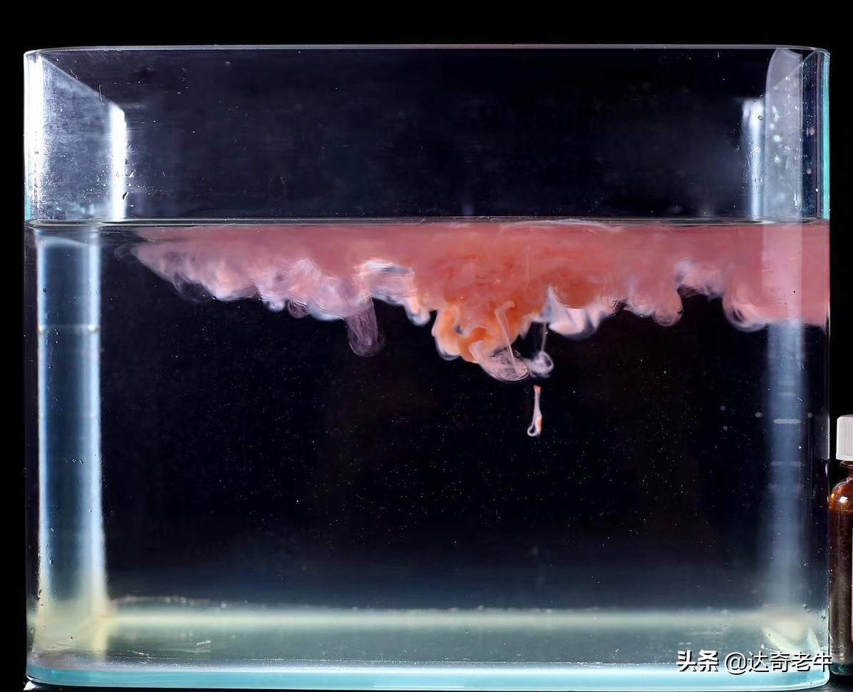 红虫饵要加什么小药,红虫饵料加什么小药