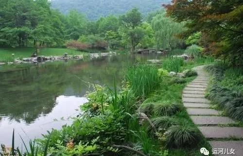 水边：里下河的孩子，与水结缘，与水生植物结缘