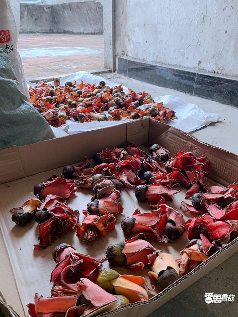 住在番禺的人的感受,在广州番禺区居住怎么样