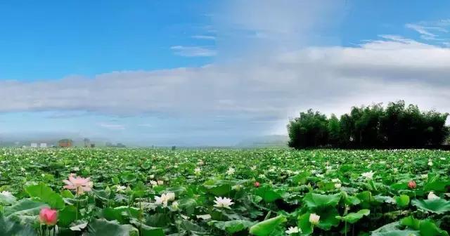 厦门有避暑的地方吗,厦门清凉避暑好去处推荐