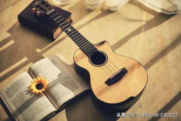 怎样选一把好的尤克里里,十大入门级尤克里里推荐