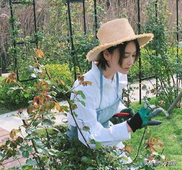 张馨予回苏州,张馨予横店探班