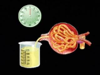 大生化中的肾功能是哪些指标,肾功能不全是哪些指标不正常