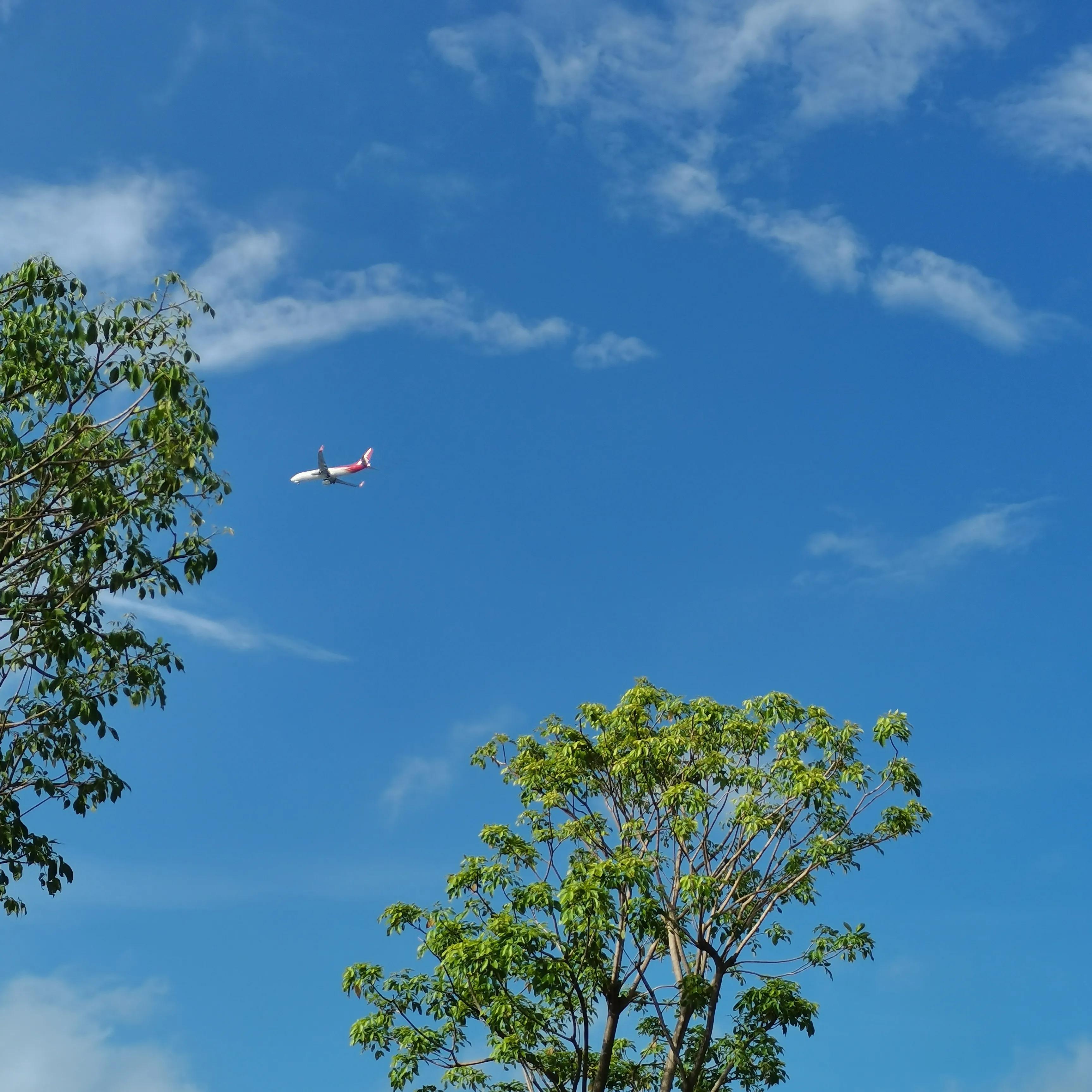 看似偶然实则必然意味着什么,看似凑巧的事其实都是有迹可循的