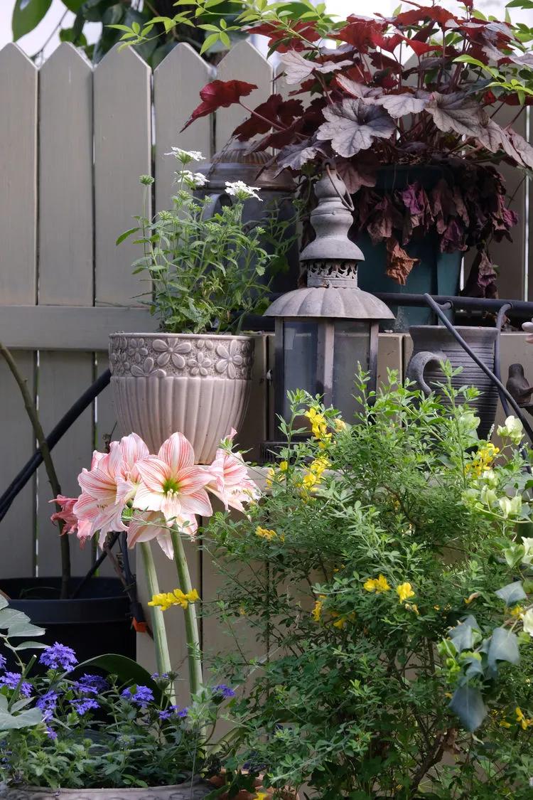 三年前买了套绿地110平三房130万,三年前耗资百万打造小院出售