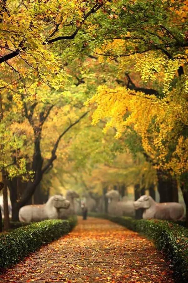 2020旅行时间表,2021年旅行时刻表出炉