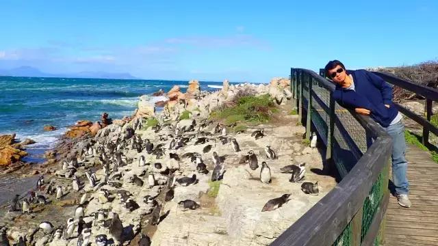在菲律宾买房赚钱吗,在菲律宾买房出租划算吗