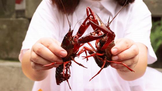 西安靓靓蒸虾免单,靓靓蒸虾免单活动