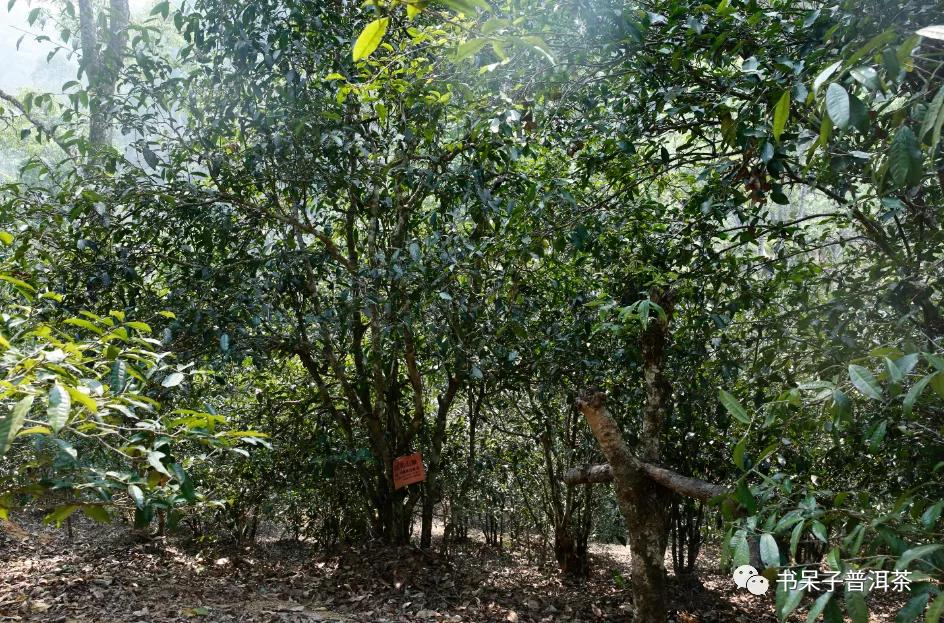 高山寨与天门山,高山寨和天门山