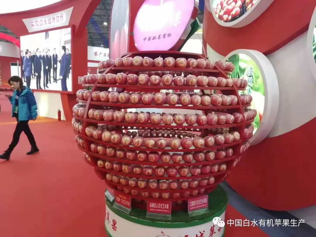 苹果越来越难卖果农将如何应付,白水新苹果果园