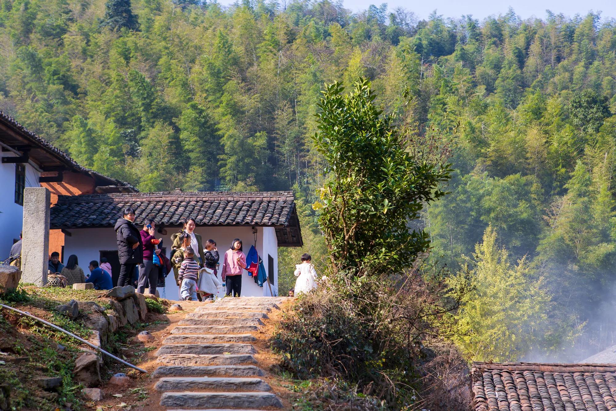 高岭古村银杏,高岭乡高岭村