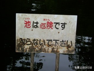 日本人如何看待母语,日本人怎么看待文字有中文